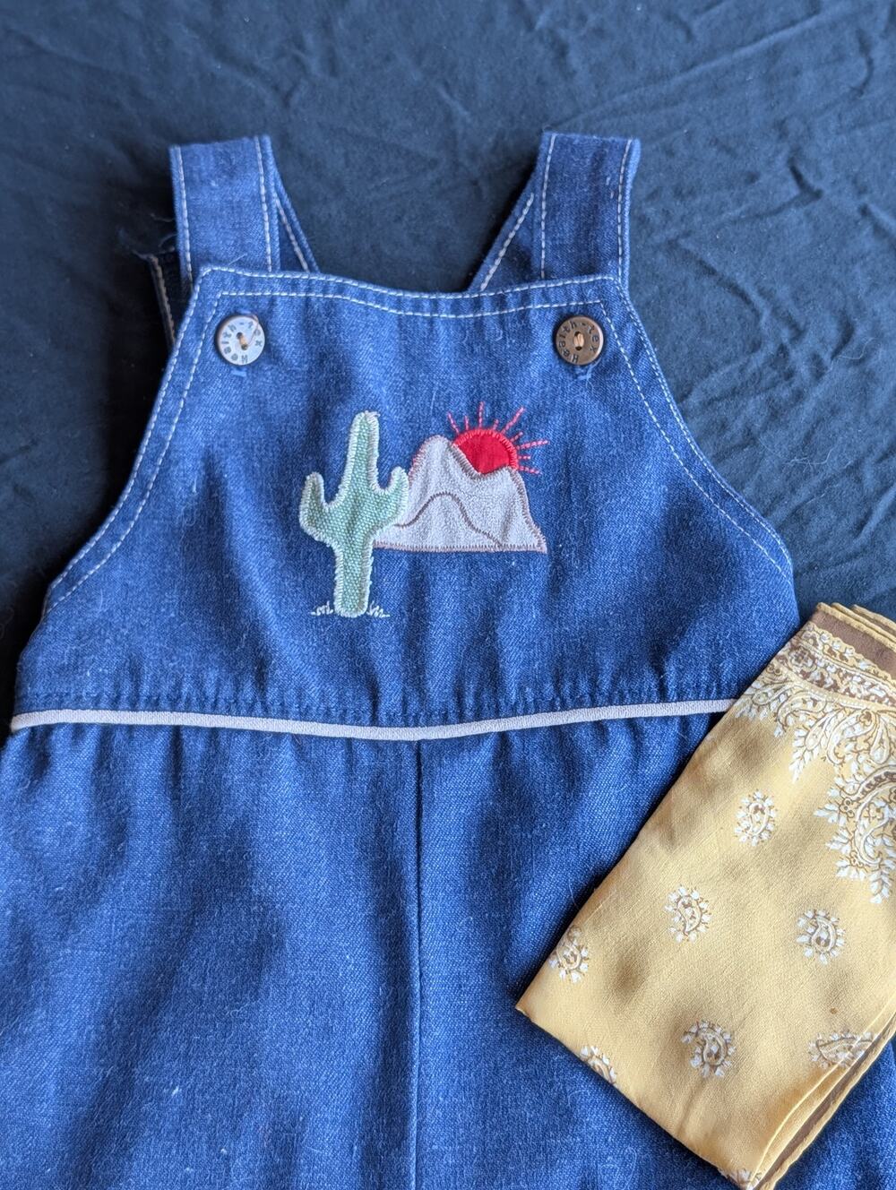 Vintage Health-Tex USA Baby Denim Overalls Romper 18M Desert Cactus Embroidered
